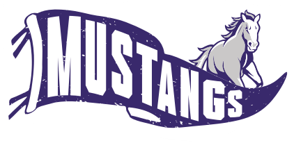 Mustangs Flag Grey Frost Long Sleeve Shirt - Youth and Adult sizes - DT109 and DT132Y District